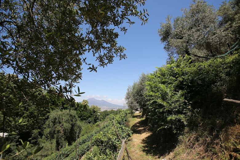 Bed & Breakfast Villa Cati�