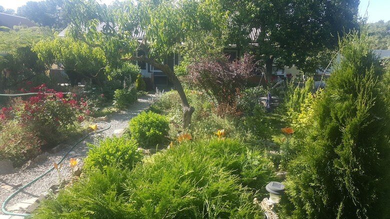 Hotel Flowering Garden