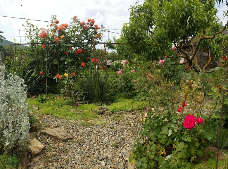 Hotel Flowering Garden