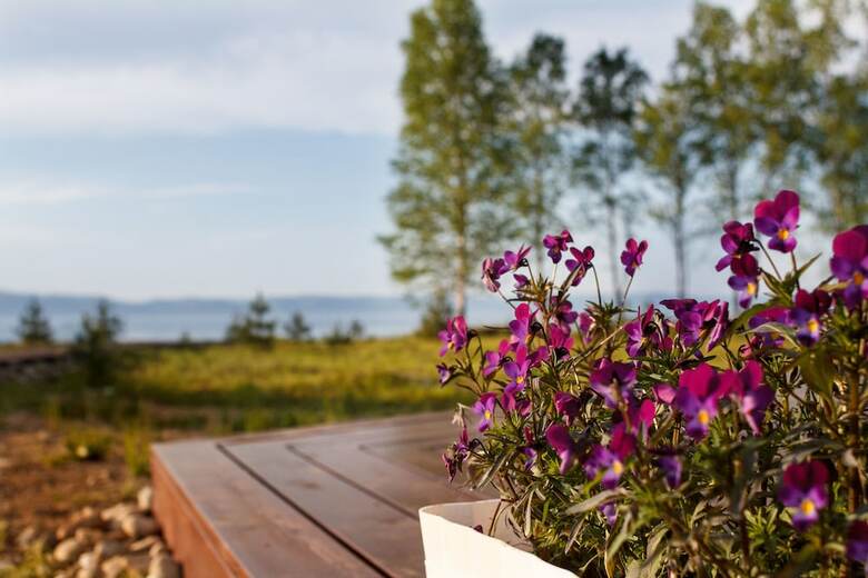 Hotel Baikal Pearl Chalet