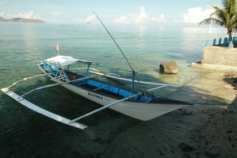 Hotel Altamare Dive And Leisure Resort Anilao