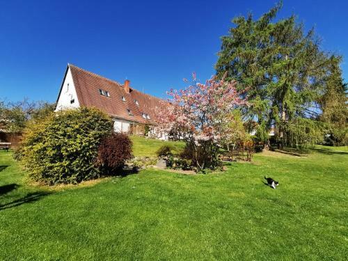 Hostal Pension Am Kirschberg