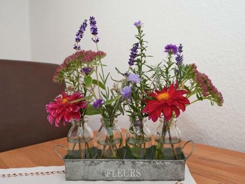 Apartment Im Alpenvorland Prem