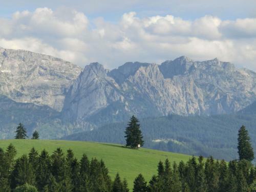 Apartment Im Alpenvorland Prem