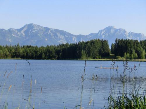 Apartment Im Alpenvorland Prem