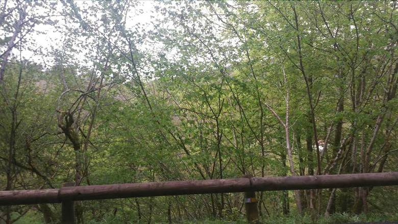 Hotel El Robl�n de Cabuerniga