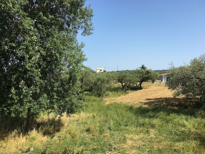 Villa Rania Zante Drosia