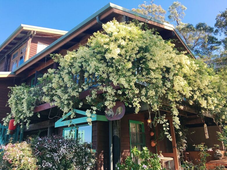 The Goat And Goose B&B