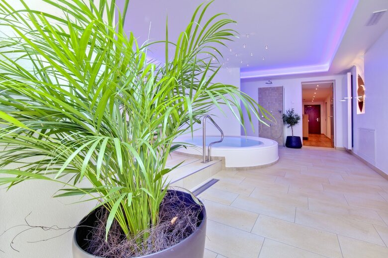 Residencia Gartenresidence Zea Curtis