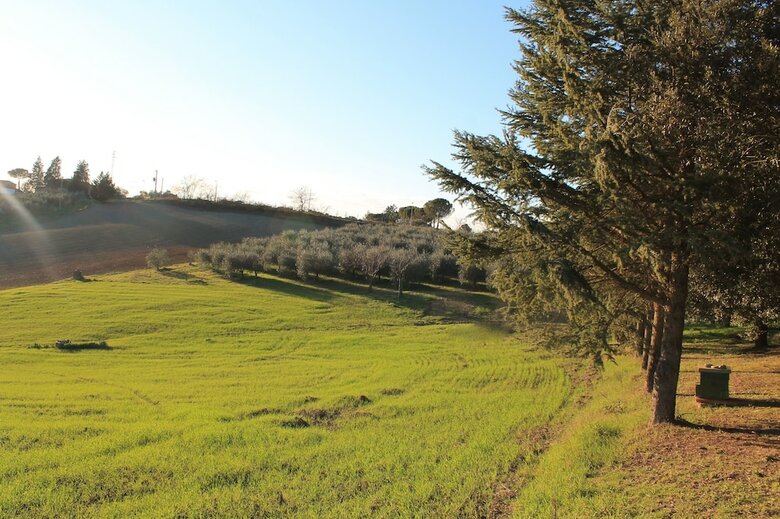 Apartamento Albergaccio