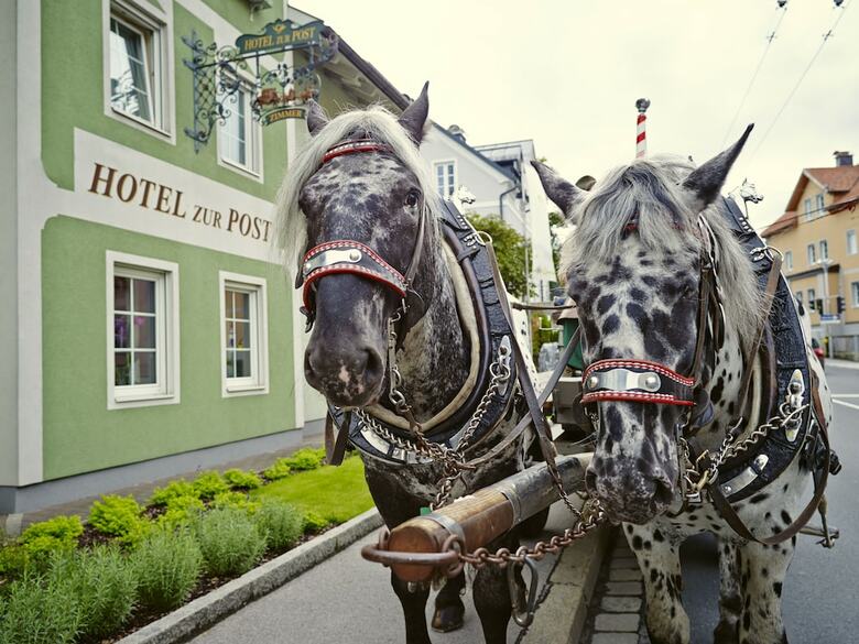 Das Gr�ne Hotel Zur Post - 100 % Bio