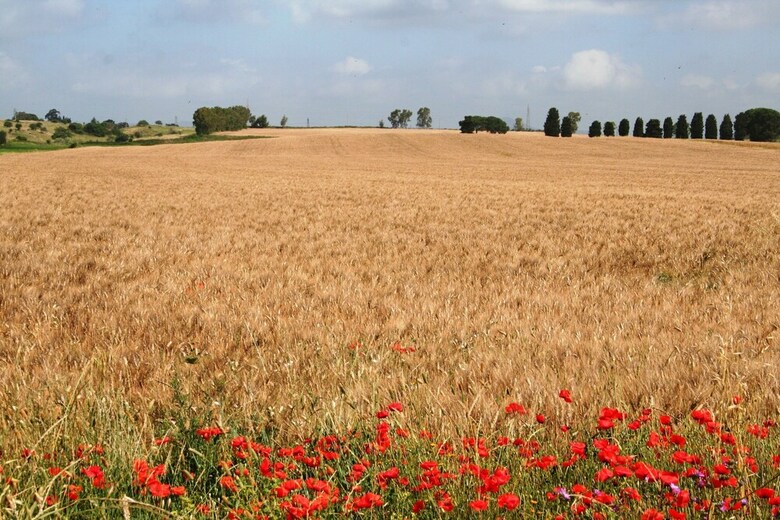 Agroturismo Riserva Dell'olmo