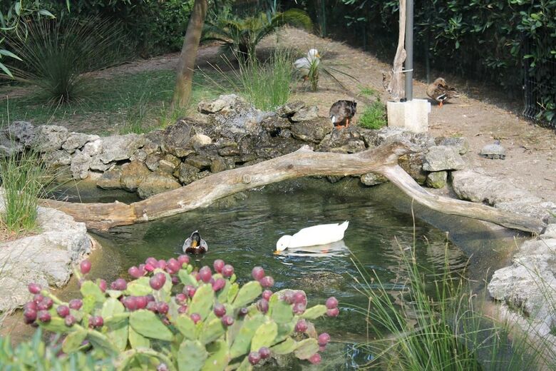 Residencia Resort Puntacassano