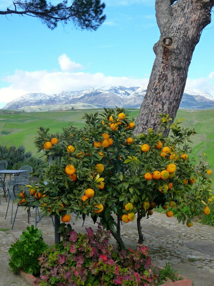 Agroturismo Antico Feudo San Giorgio
