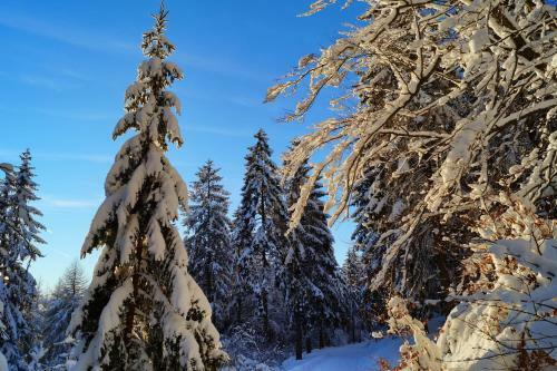 Hostal Gasthof Pension Waldfrieden