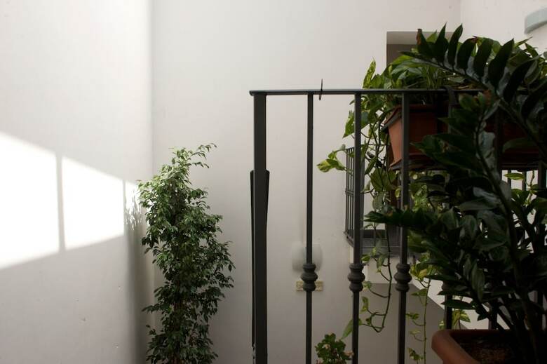 Attico Partenopeo B&B