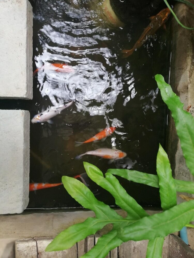 Hotel Ao Apartment