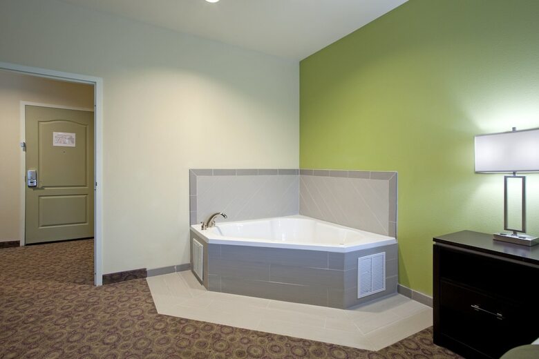 Hotel Holiday Inn Express & Suites Clemson