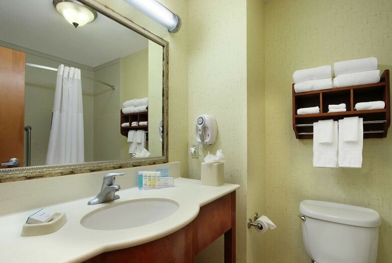Hotel Hampton Inn & Suites Buffalo