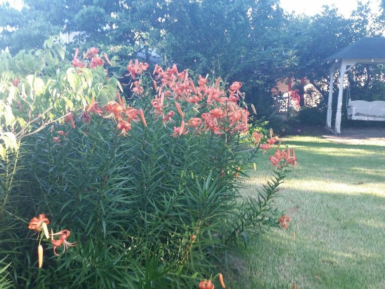 Spahn House Bed And Breakfast