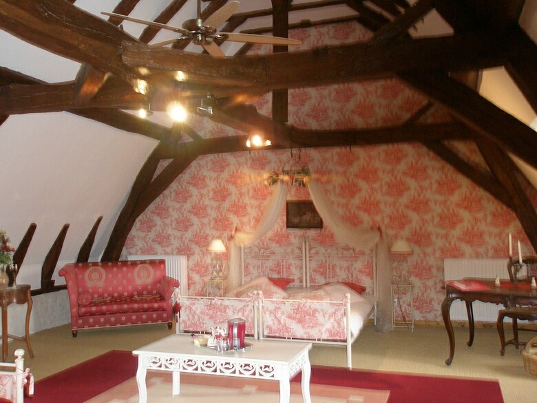 Hotel Au Prince Grenouille