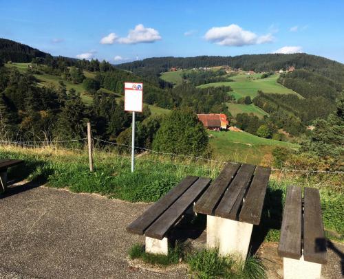 Hostal Schwarzwaldgasthaus Linde
