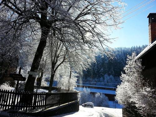 Hostal Schwarzwaldgasthaus Linde