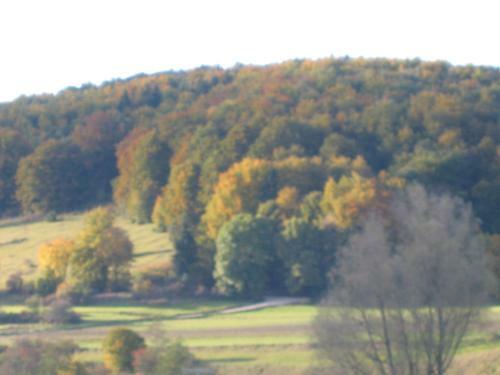 Hotel Gasthof Zum Lamm