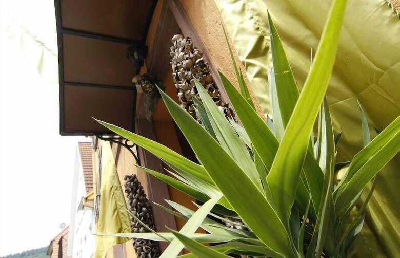 Art Hotel Neckar