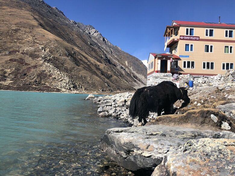 Hotel Thanka Inn Gokyo