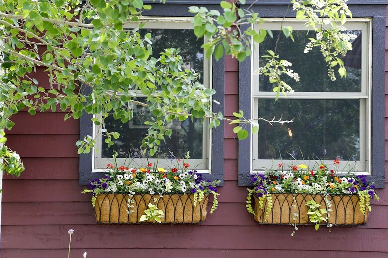 Bed & Breakfast The Ruby Of Crested Butte