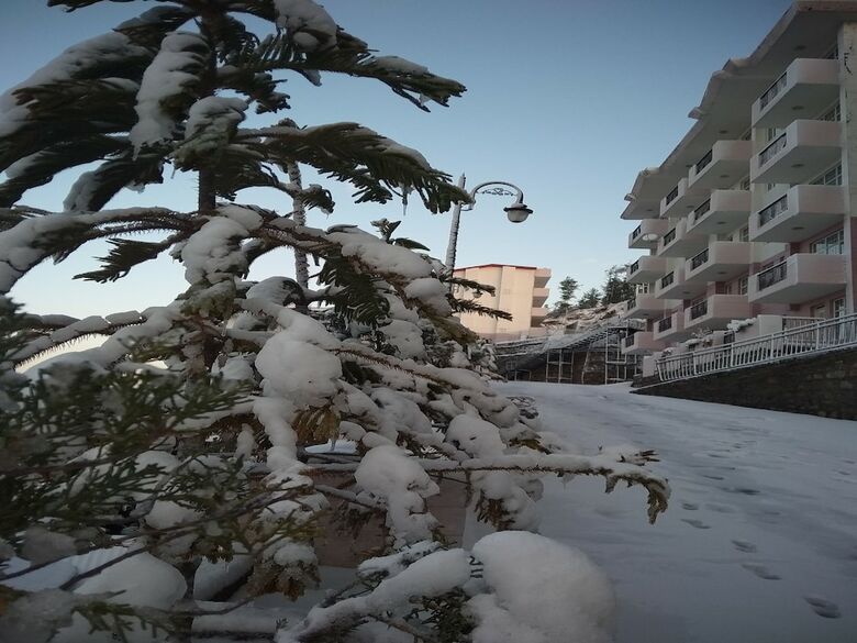 Hotel Spangle Heights | Shimla, Suites & Residences