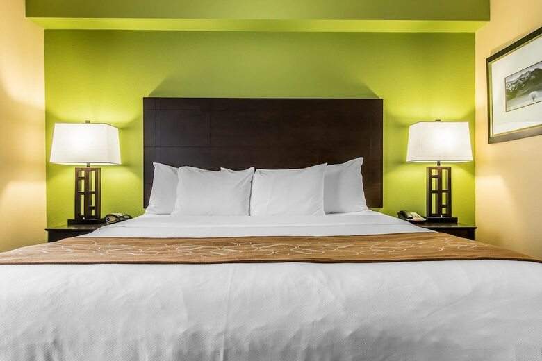 Hotel Comfort Suites Jackson I-40