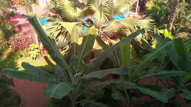 Apartamento Country Club de Goa