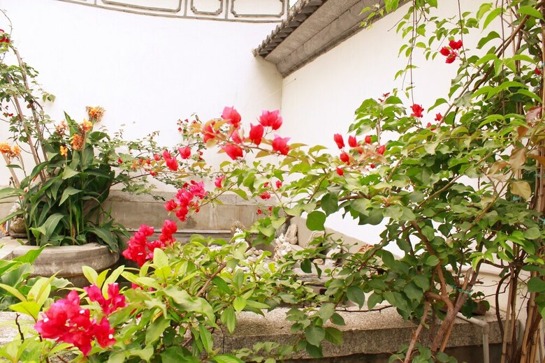 Hostal Five Elements