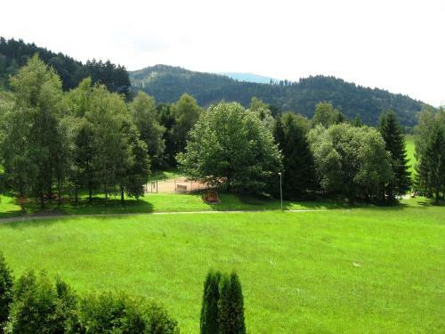 Schwarzwald-hotel Silberk�nig Ringhotel