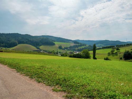 Agroturismo Charming Apartment In Schuttertal With Balcony