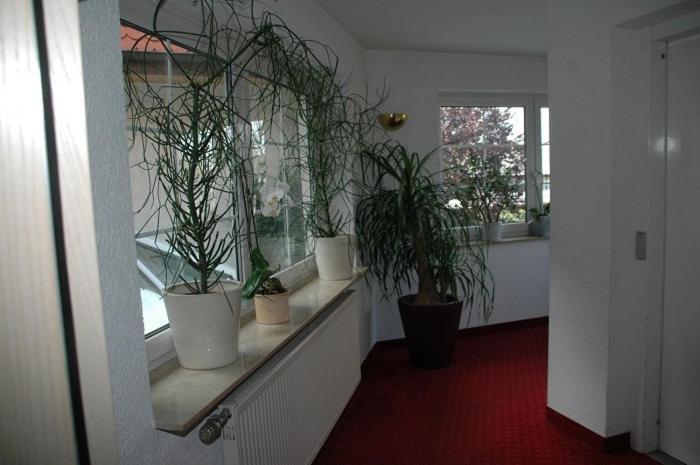 Hotel Mayers Waldhorn