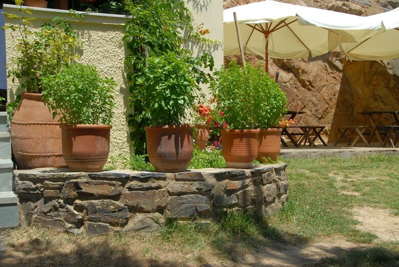 Aparthotel Zorbas Apartments