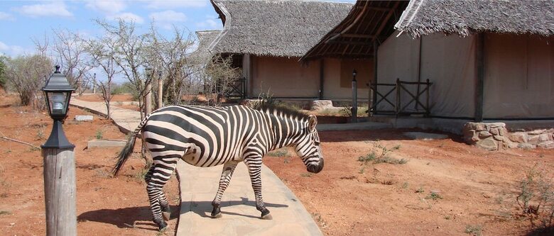 Posada Man Eaters Lodge
