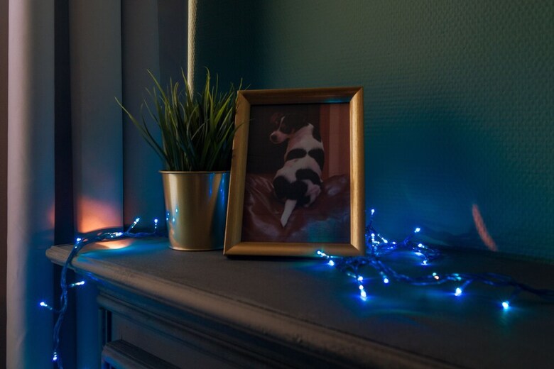 Apartamentos Spb2day Nevsky 18