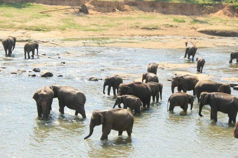 Hotel Bogala Village Eco Resort