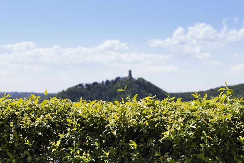 Apartamento Suite & Pool Como