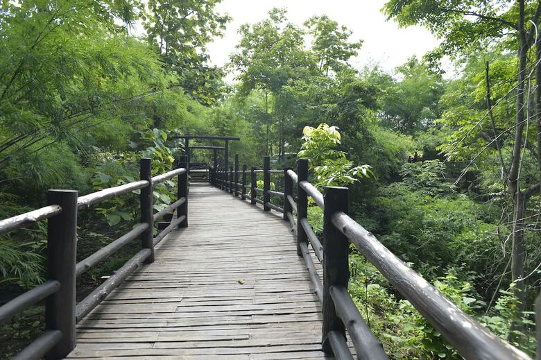 Hotel Bago Yoma Eco Resort