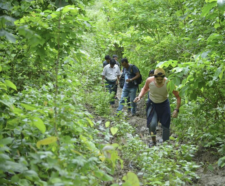 Hotel Bago Yoma Eco Resort