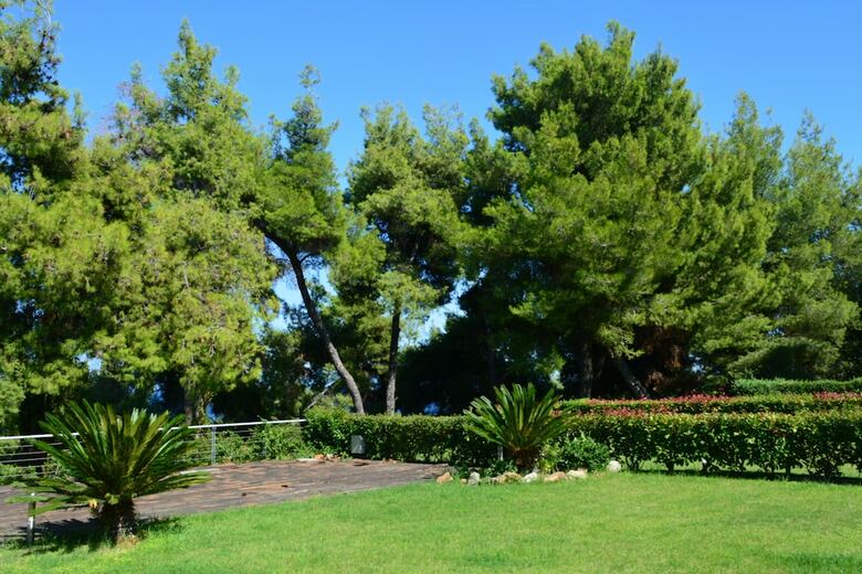 Luxury Maisonette In Halkidiki