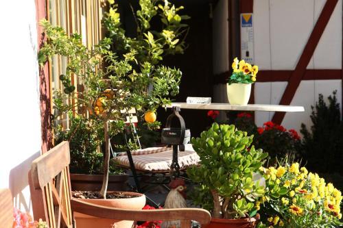 Posada G�stehaus Pfefferle Hotel Garni Und Ferienwohnungen