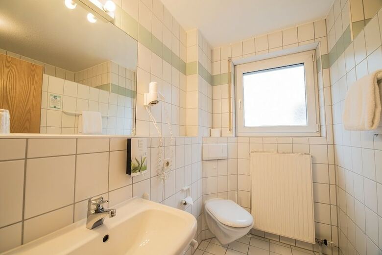 Hotel Am Wasen