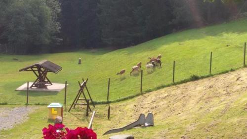 Hotel-restaurant J�gerhof