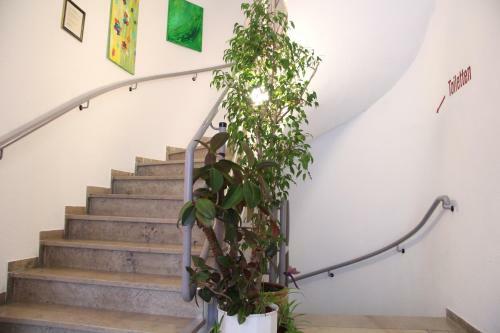 Hotel Am Schloss Neuenstein